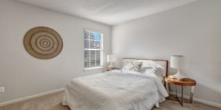 Elements of Madison Gallery 4