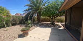 19609 N 98th Dr Gallery 36