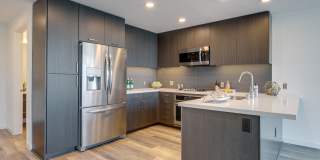 The Merian Gallery 54