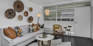 Palms 1155 (Palms at Main) Gallery 26