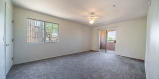 Pusch Ridge Gallery 14