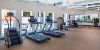 Royal Breeze Gallery 35