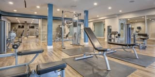 Park Kiely Gallery 4