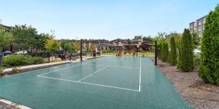 3533 BELLFLOWER LN Gallery 42