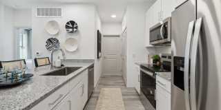 Alta Trails Gallery 3