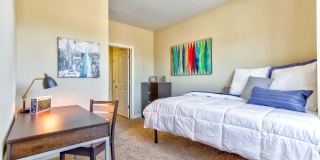 Irish Flats Gallery 13