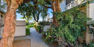 3 Bedroom Condo in Watsonville! Gallery 18
