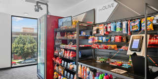 The Olive The Olive Gallery 11