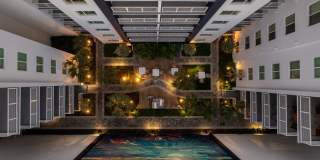 Tortoise One Gallery 43