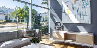 Elements Gallery 86