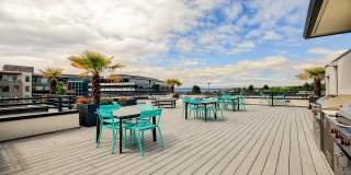 Tera Apartments Gallery 37