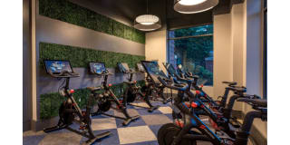 Shearwood Station Gallery 6