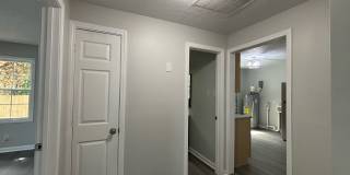 209 Gertrude Street - 1 Gallery 5