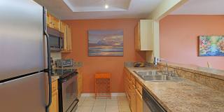 Palms at Waters Edge 3344-M6 Gallery 7