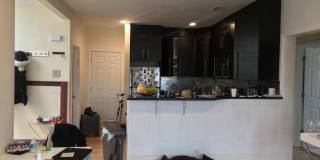 Huge, updated, sunny 5 bed in Coolidge Corner for 9/1! Gallery 13