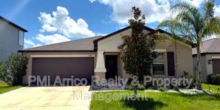 14906 Imperial Purple Lane Gallery 1