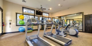 McKenzie at Natomas Park Gallery 22