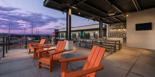 Roadrunner on McDowell Gallery 23