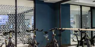 The Cardinal Gallery 7