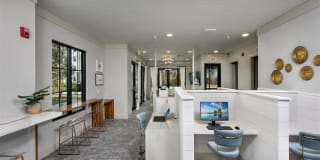 Terrabella Coastal Apartments Gallery 7
