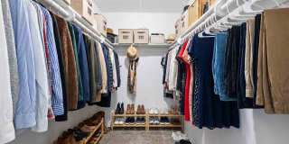 Fox Club Gallery 35