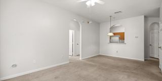 8101 COCONUT PALM WAY Gallery 9