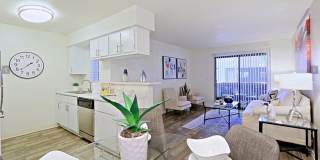 Rise Desert West Gallery 61