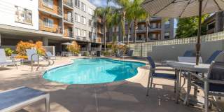 The Encore Gallery 1