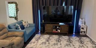 2434 Dry Moss Gallery 41
