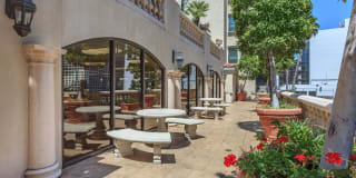 The Piero Gallery 79