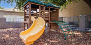 Palm Desert Gallery 15