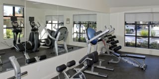 Avalon Mountain View Gallery 18
