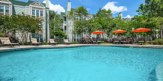 Palmetto Creek Gallery 18