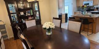 41 Dwight Drive Gallery 4