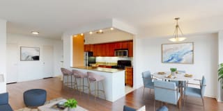 Dorchester Gallery 3