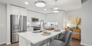 Society at Laurens Gallery 4