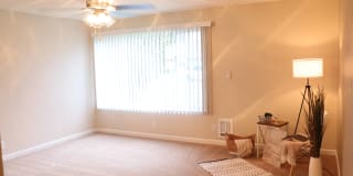 Windsor Park Gallery 15