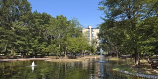 Waterside Towers Apartments Gallery 23