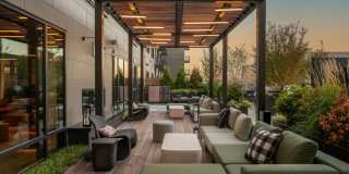 Alder at Allston Yards Gallery 45