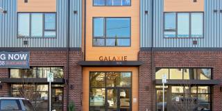 Galaxie at Sellwood Gallery 4
