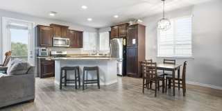 21518 Andrews Garden Gallery 6