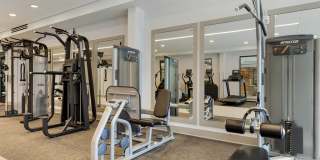 Delamarre at Celebration Gallery 9