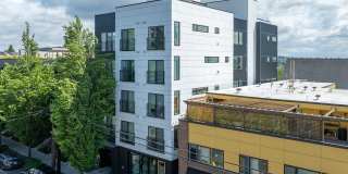 Cypress Greenwood Gallery 4