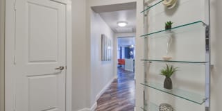 Boardwalk on Research Gallery 4