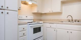 Elan View Pointe Gallery 19