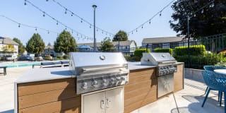 Avana Evergreen Gallery 49