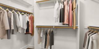 Sierra Foothills Gallery 5