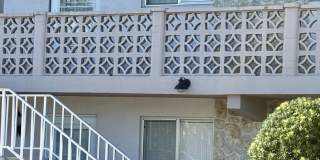 ** CANAL VIEW 2 BEDROOM\2 BATH CONDO ** SEASONAL OR ANNUAL ** BLUE POINT CLOSE TO DOWNTOWN NAPLES AND NAPLES BEAUTIFUL BEACHES ** CANAL BOAT SLIP AVAILABLE ** Gallery 8