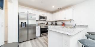 2849 Desert Mosaic Lane Gallery 4
