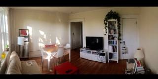 One Bedroom with Heat on GL-B Comm Ave Brighton Gallery 14